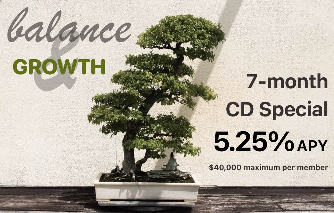 balance & growth
7-month CD special
5.25% APY